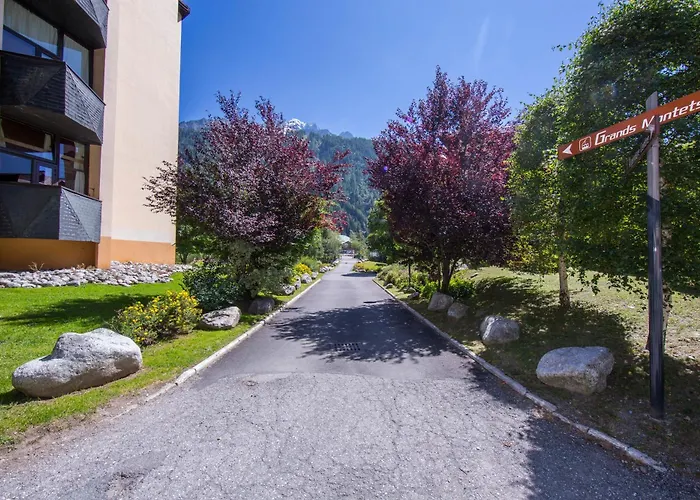 Résidence Grand Roc - Campanules 314 Happy Apartamento